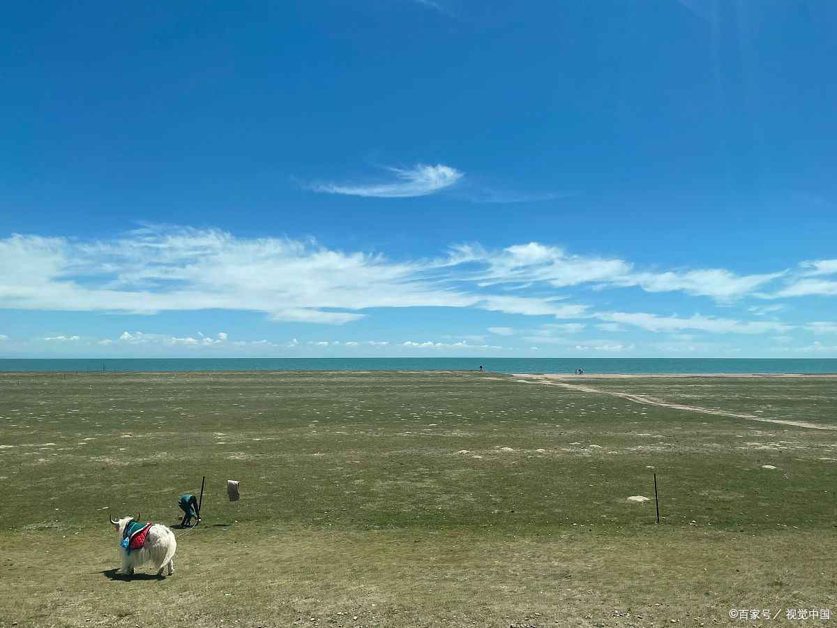 6月去青海湖旅游攻略图